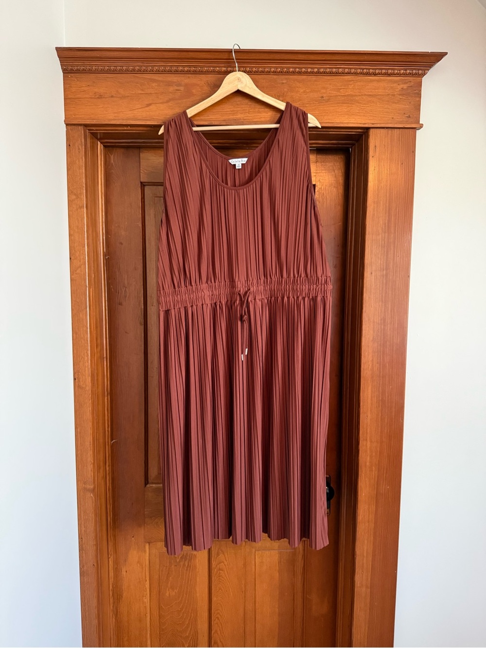 Pleated Midi Dress in Rust with Drawstring Waist